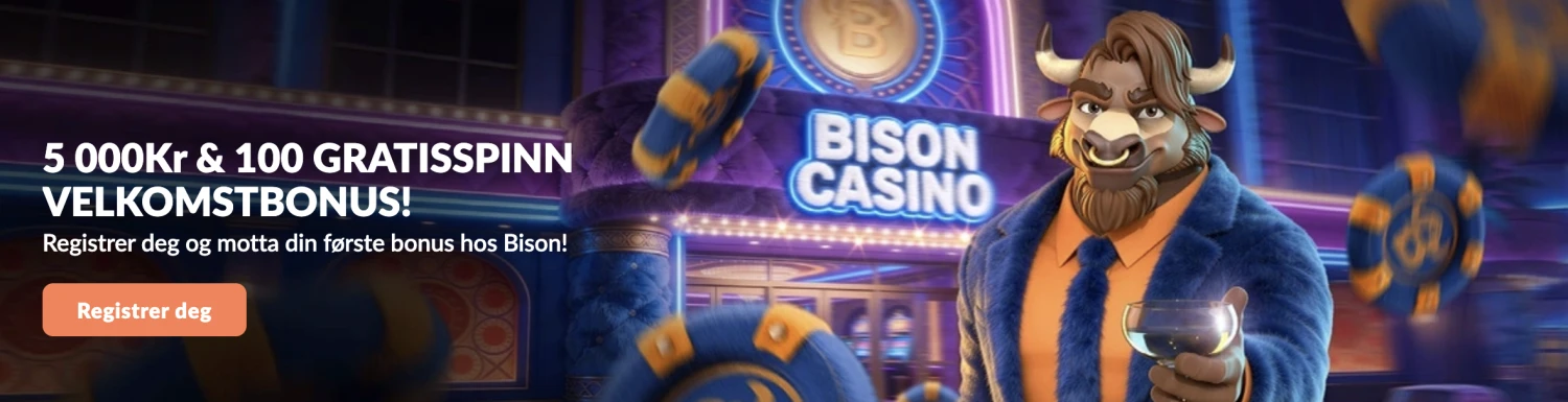 Promotional Banner